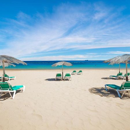 Apto Drago Holidays Apartment Santa Cruz de Tenerife Ngoại thất bức ảnh